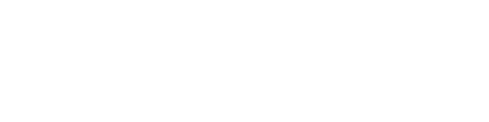 American Pro Group