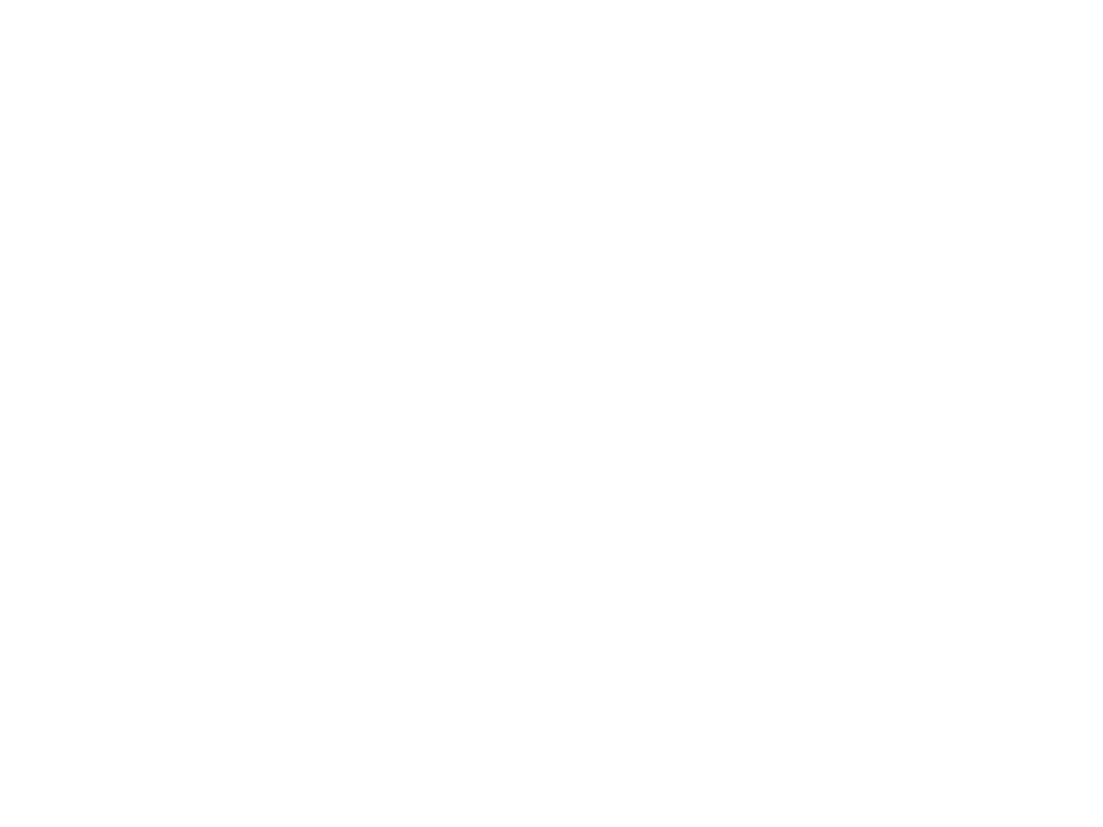 American Pro Group