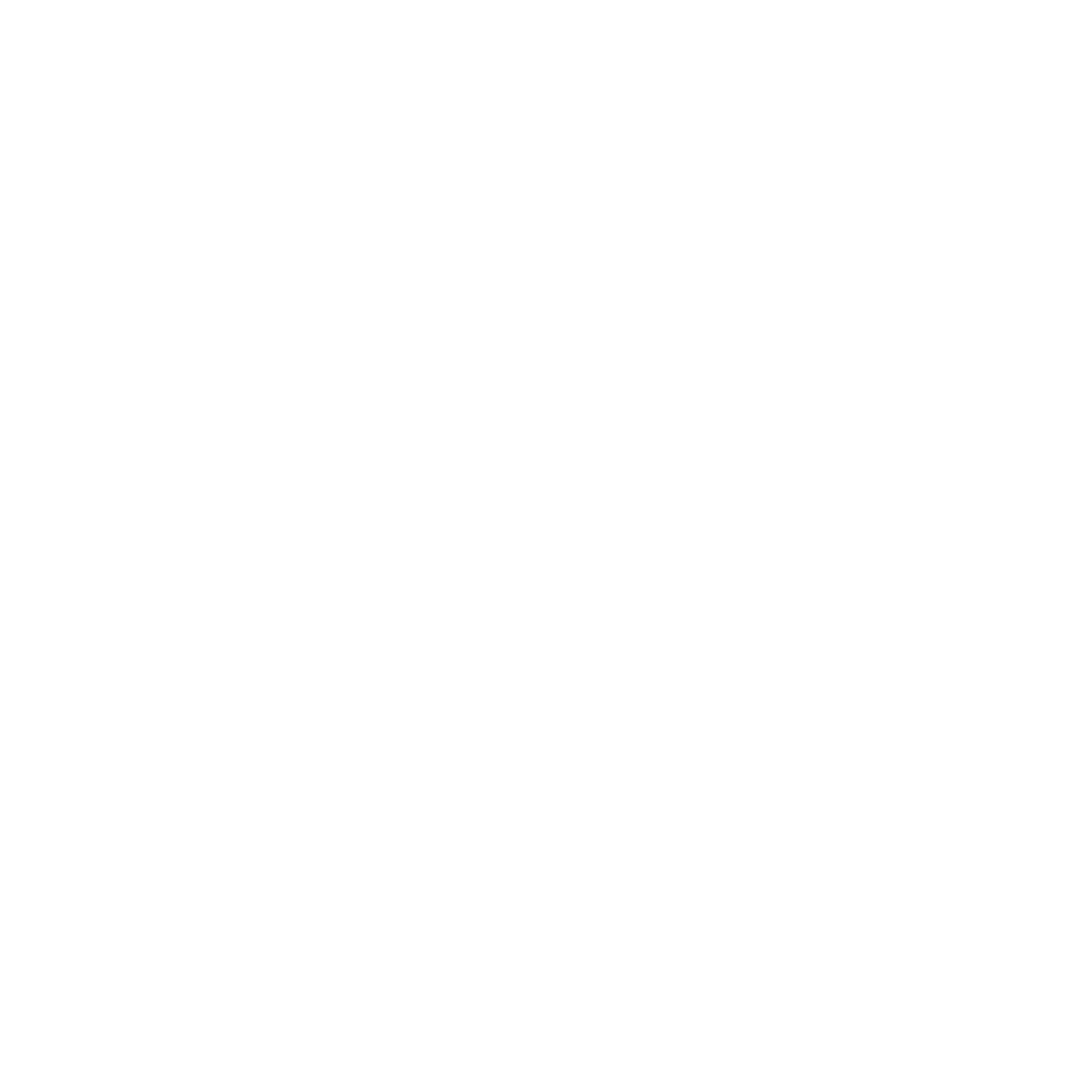 IMPACT TRUEMARK GROUP