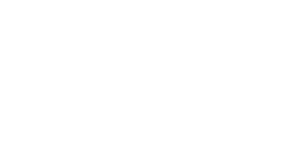 American Pro Group